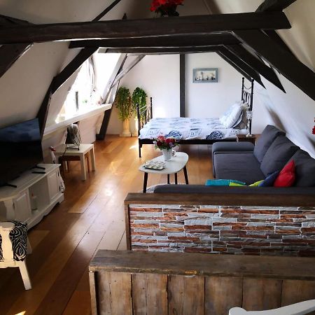 ハルリンゲン Wittezwaan Bed & Breakfast エクステリア 写真