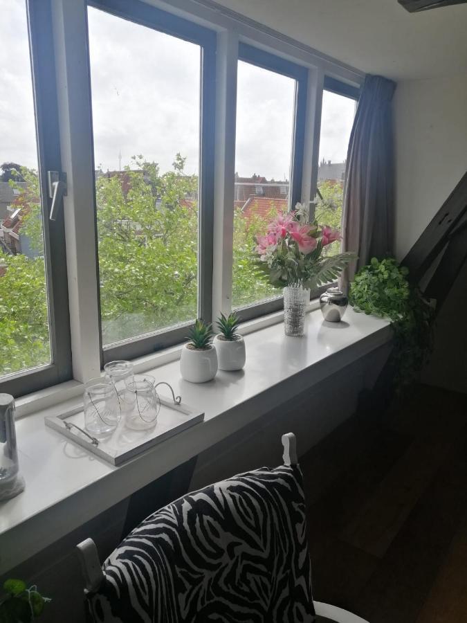 ハルリンゲン Wittezwaan Bed & Breakfast エクステリア 写真