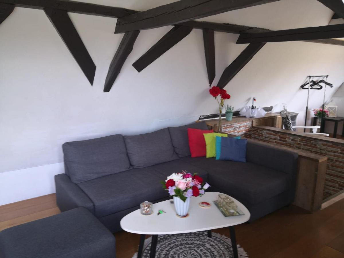 ハルリンゲン Wittezwaan Bed & Breakfast エクステリア 写真