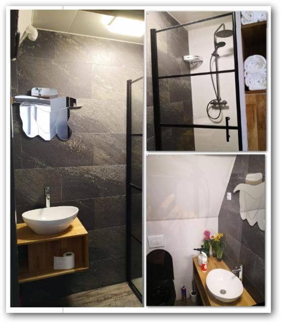 ハルリンゲン Wittezwaan Bed & Breakfast エクステリア 写真