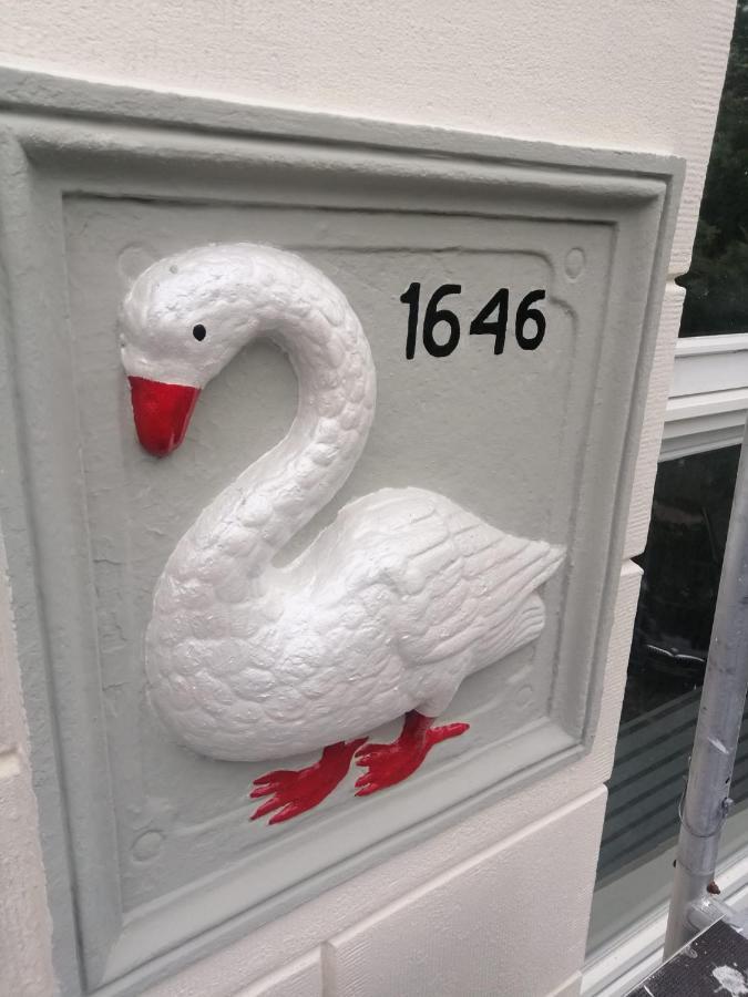 ハルリンゲン Wittezwaan Bed & Breakfast エクステリア 写真