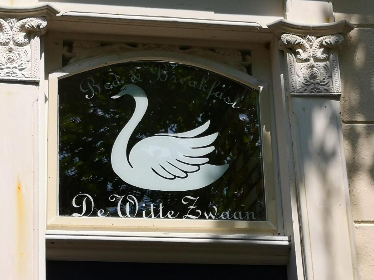 ハルリンゲン Wittezwaan Bed & Breakfast エクステリア 写真
