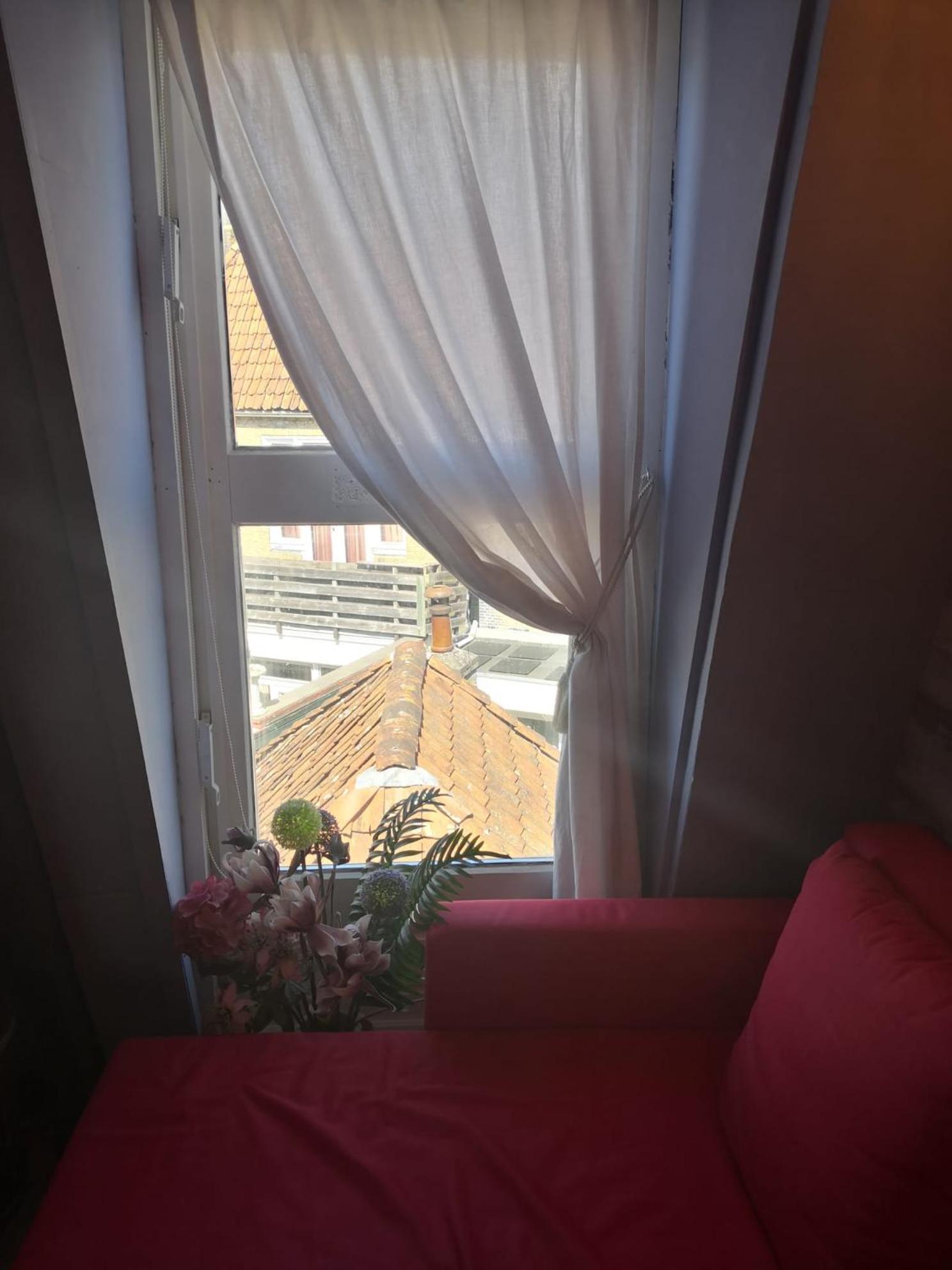 ハルリンゲン Wittezwaan Bed & Breakfast エクステリア 写真